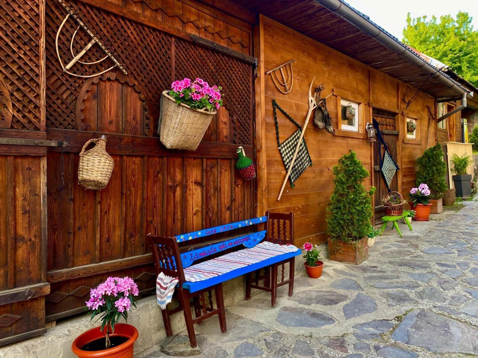 Casa Leca 호텔 Breb 외부 사진